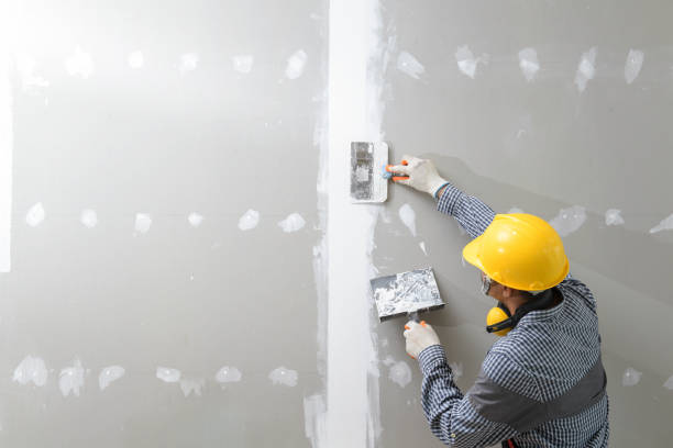 Best Crawl Space Mold Remediation  in Blackhawk, SD