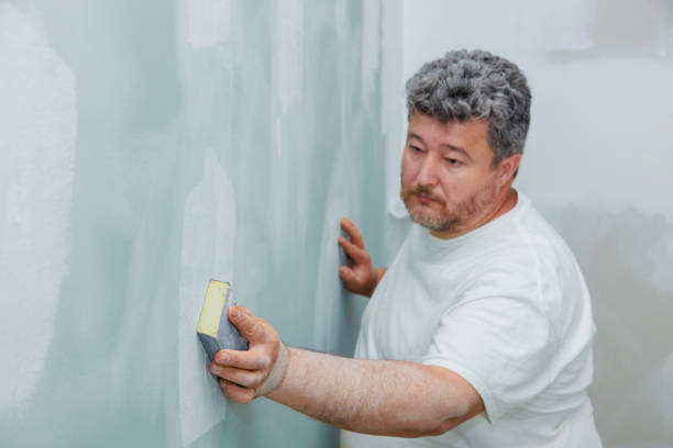 Professional Mold Removal in Blackhawk, SD