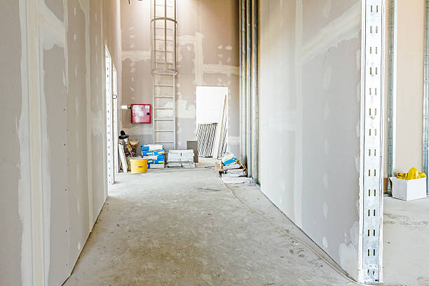 Mold Documentation for Insurance Claims in Blackhawk, SD