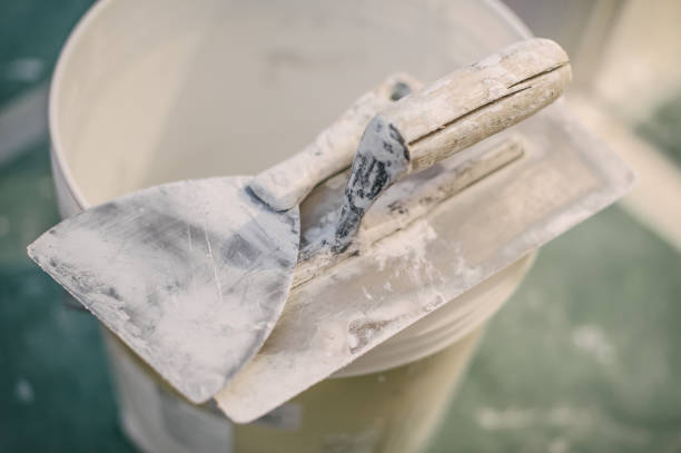 Best Emergency Mold Remediation  in Blackhawk, SD