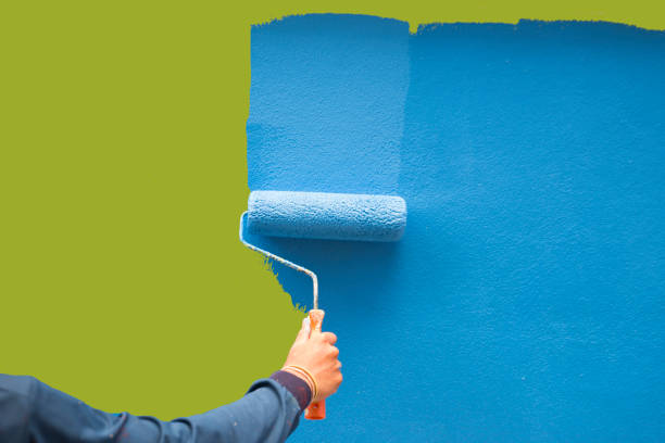 Best Basement Mold Removal  in Blackhawk, SD