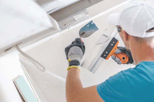 Best Asbestos and Lead Testing During Mold Inspection  in Blackhawk, SD
